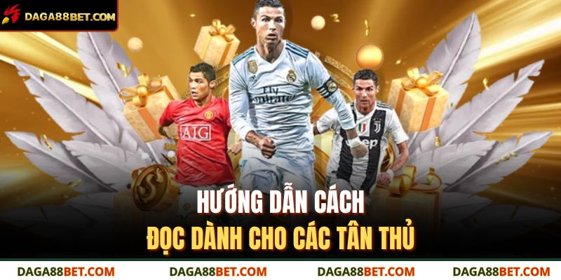 Hướng dẫn cách đọc dành cho các tân thủ